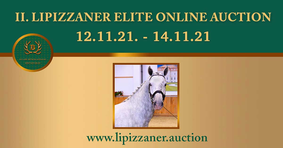 II. Lipizzaner Elite Online Auction
