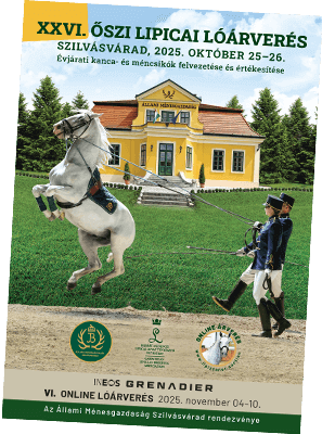 Lóárverés katalógus 2024