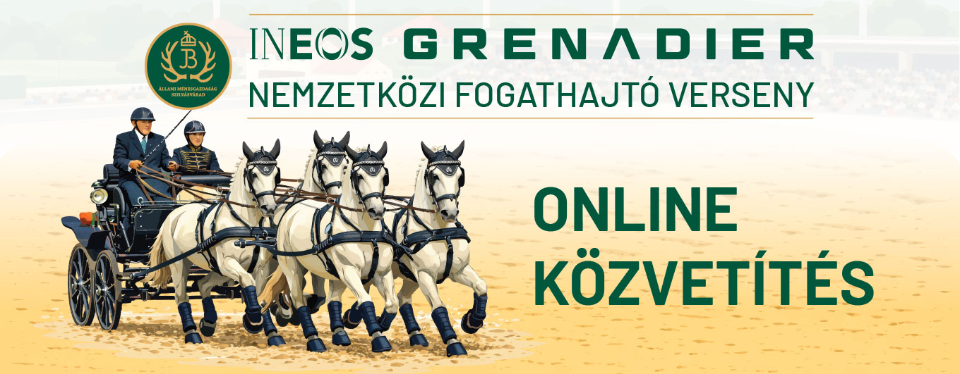 Nemzetközi Fogathajtó verseny plakátja