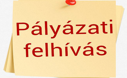 Pályázat igazgatói beosztás ellátására