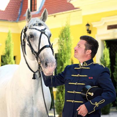 Cseri Dávid Ménesigazgató Állam Ménesgazdaság Szilvásvárad Cseri David Menesigazgato Allam Menesgazdasag Szilvasvarad