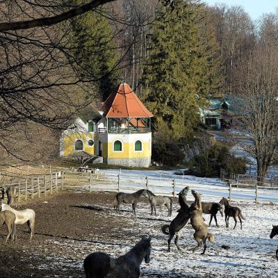Csipkéskúti Lovas Vendégház Csipkeskuti Lovas Vendeghaz