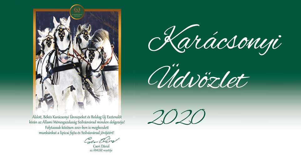Karácsonyi üdvözlet 2020