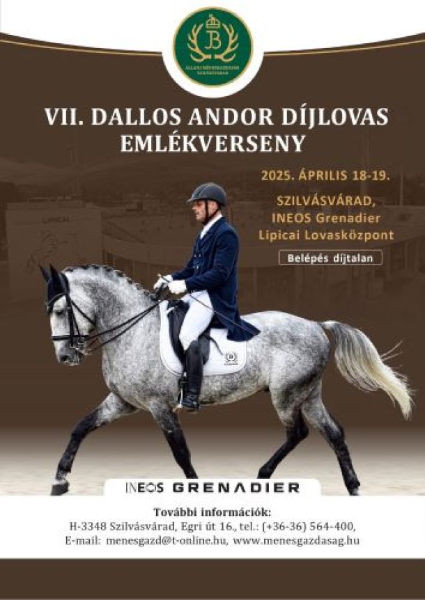 Dallos Andor Emlekverseny 2025
