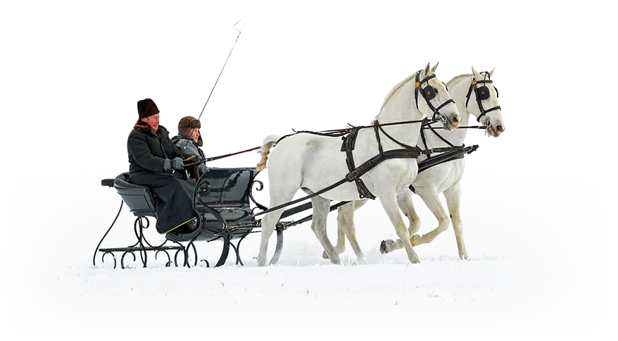 lovasszanozas csipkeskuton menesgazdasag lovak