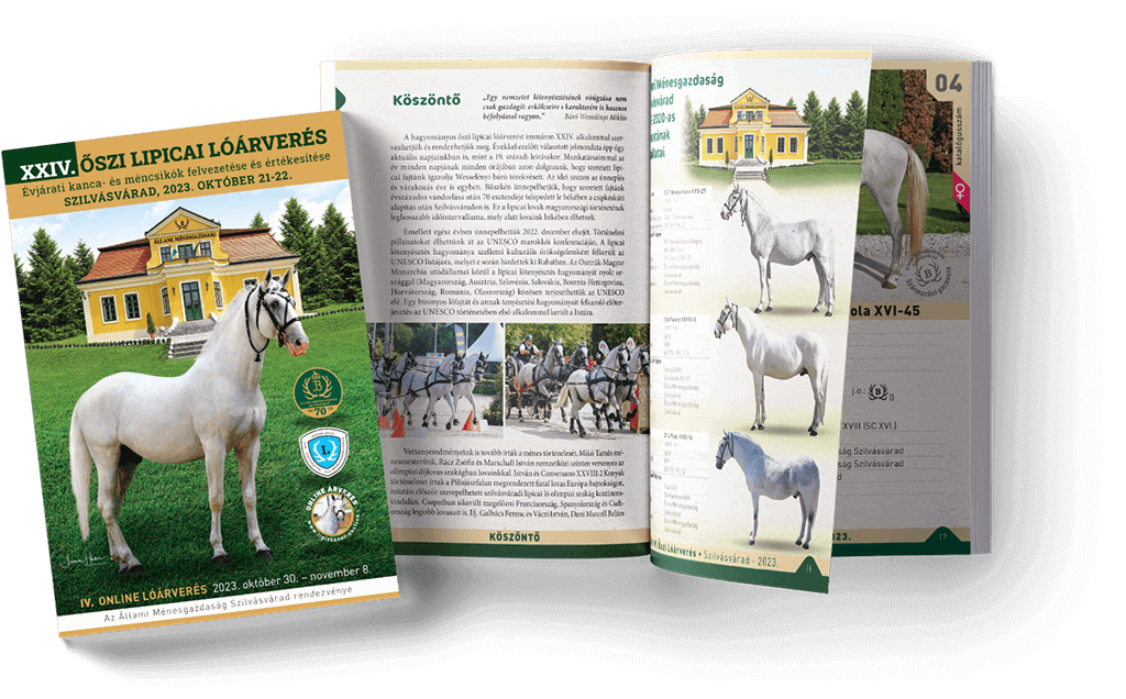 Flip-through version of our latest auction catalog