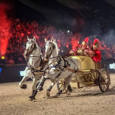 Ejszakai Lovasgala 2025 Menesgazdasag