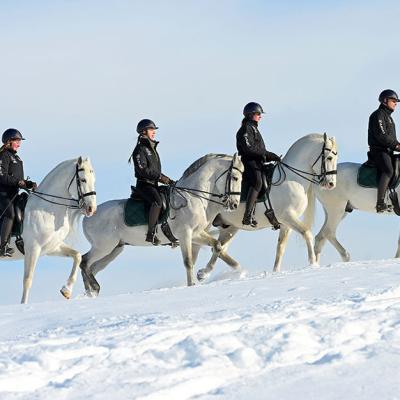 Menesgazdasag Teli Kepek 2026 3754