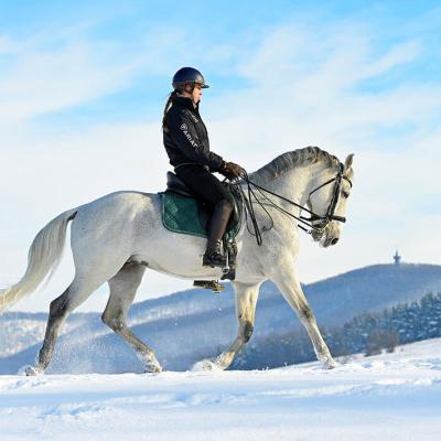 Menesgazdasag Teli Kepek 2026 3919