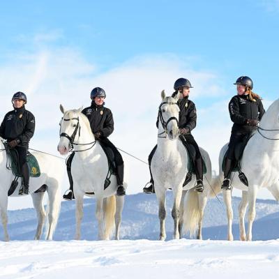 Menesgazdasag Teli Kepek 2026 4066