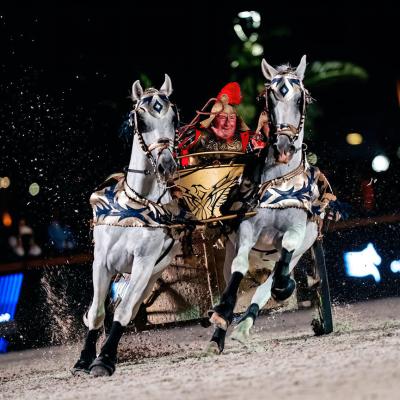 Fogatbemutató a rabati arénában