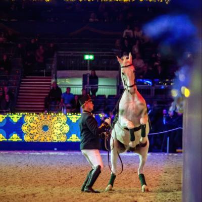 London International Horse Show - magasiskola