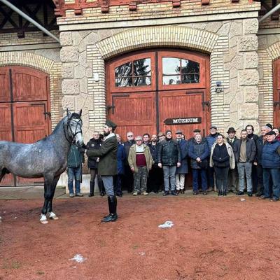 Lovasdolgozói találkozó a parádi Cifraistállóban