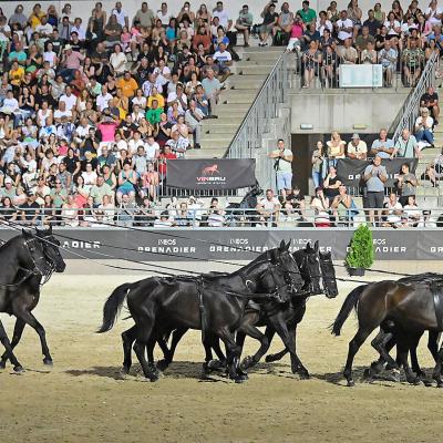 2025 Nemzetközi Lipicai Lovasgála