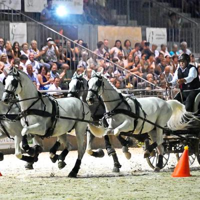 2025 Nemzetközi Lipicai Lovasgála