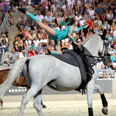 Lovastorna Voltizs 2021