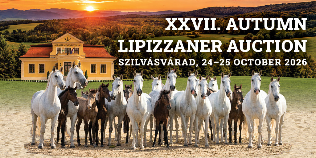 27th Autumn Lipizzaner Horse Auction in Szilvásvárad