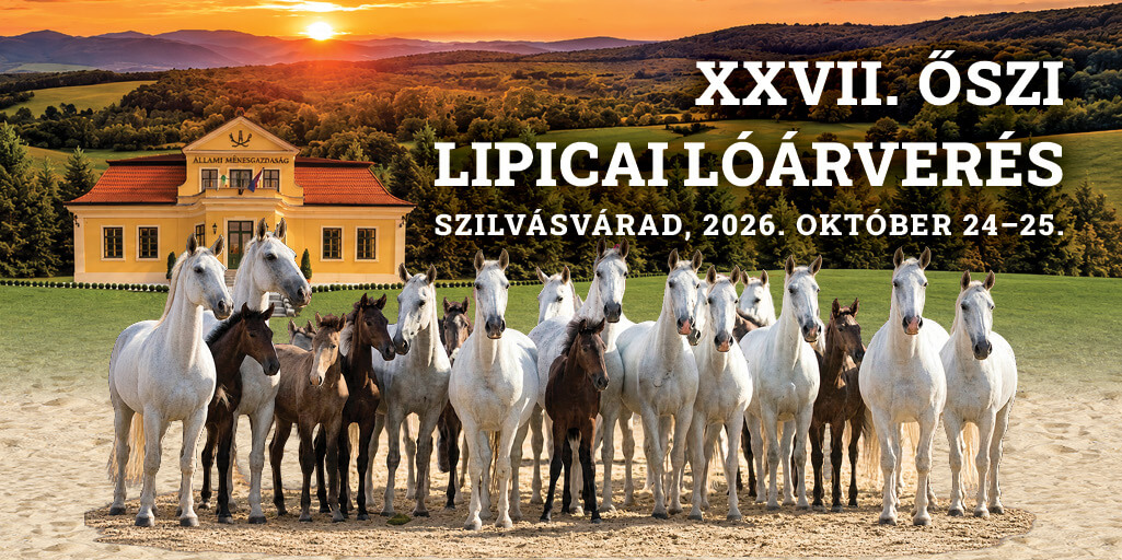 XXVII. Őszi Lipicai Lóárverés Szilvásváradon
2026. október 24–25.
Az Állami Ménesgazdaság Szilvás…