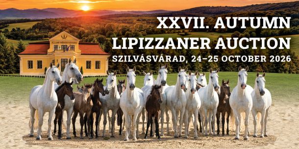 27th Autumn Lipizzaner Horse Auction in Szilvásvárad