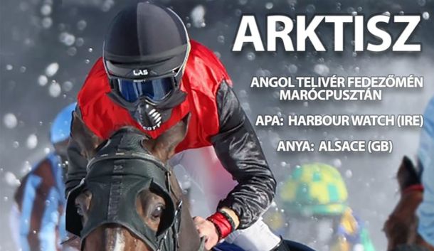 Photo of Arktisz horse and rider