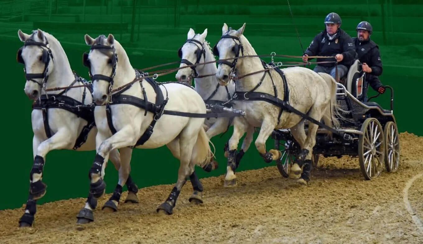 2025. november 22. és 23-án kerül megrendezésre a Váczi Ernő Fogathajtó Emlékverseny az INEOS Gre...