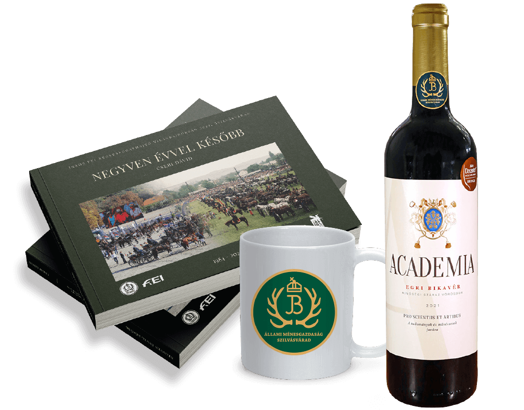 „Téli relax csomag”