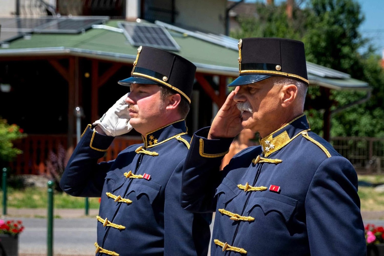 Ezúton szeretnénk tisztelettel és szeretettel köszönteni Dr. Ádám Barnabás ménesintéző, ménesigaz...