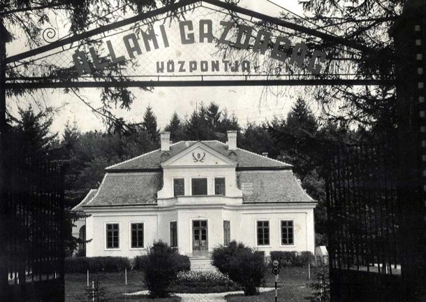 Szilvásváradi törzstenyésztő gazdaság 1953