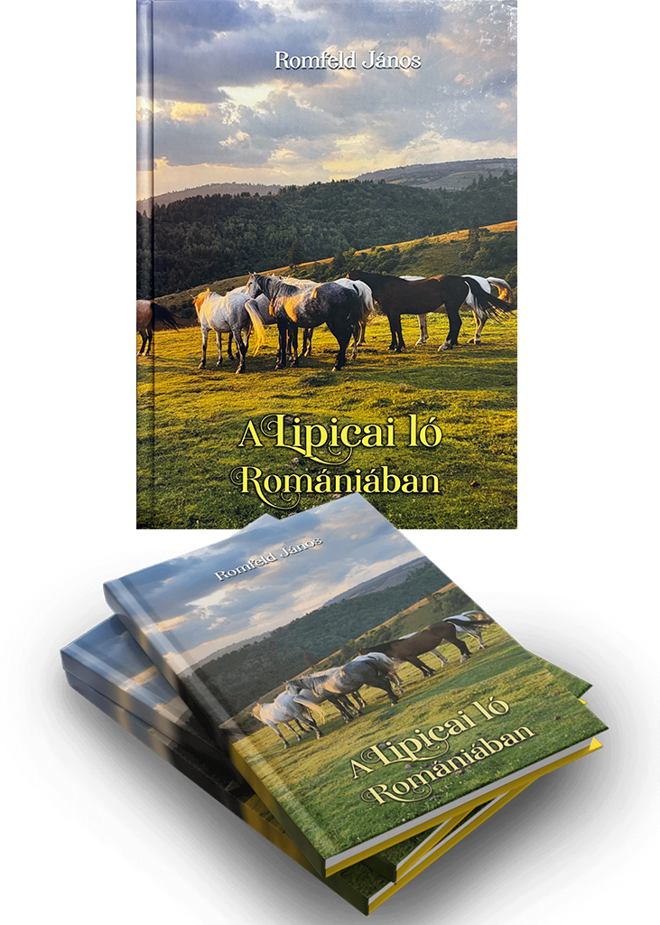 A Lipicai ló Romániában 