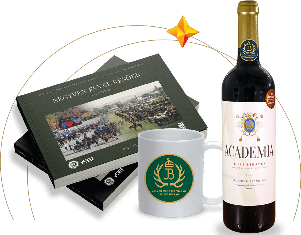 „Téli relax csomag”