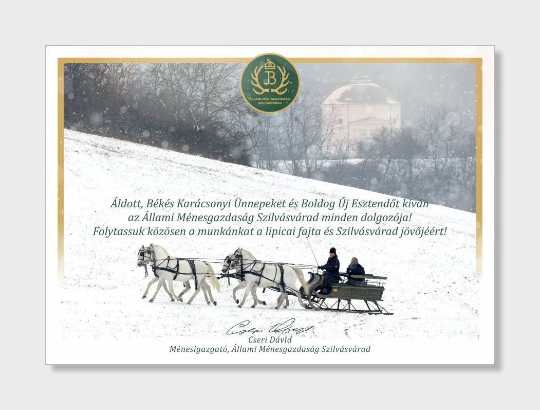 Áldott, békés Karácsonyi Ünnepeket és Boldog Új Esztendőt kíván az Állami Ménesgazdaság Szilvásvá...