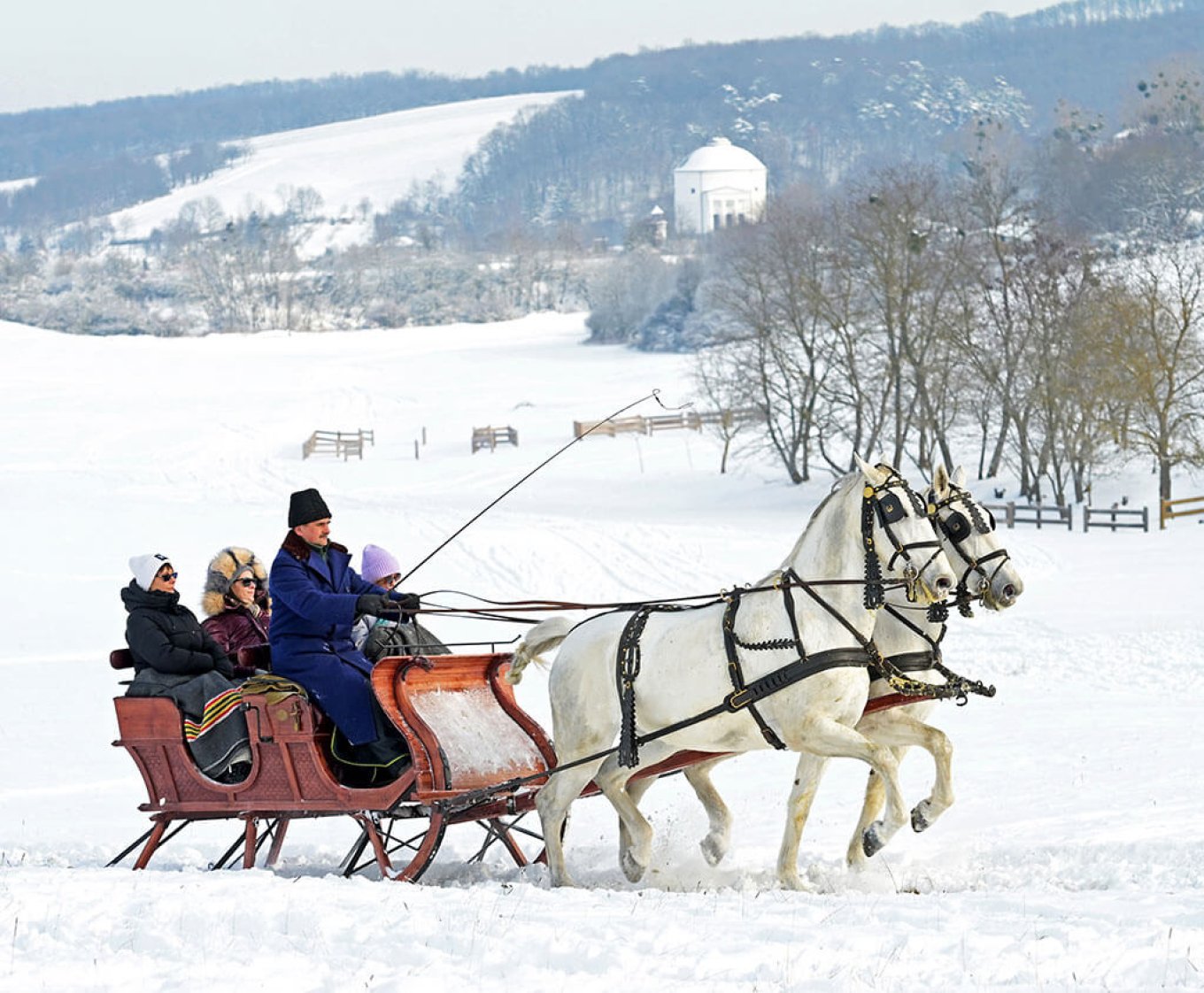 lovasszan csipkeskuton