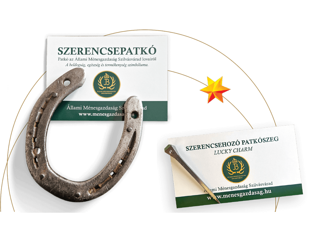 „Újévi szerencsét hozó csomag”