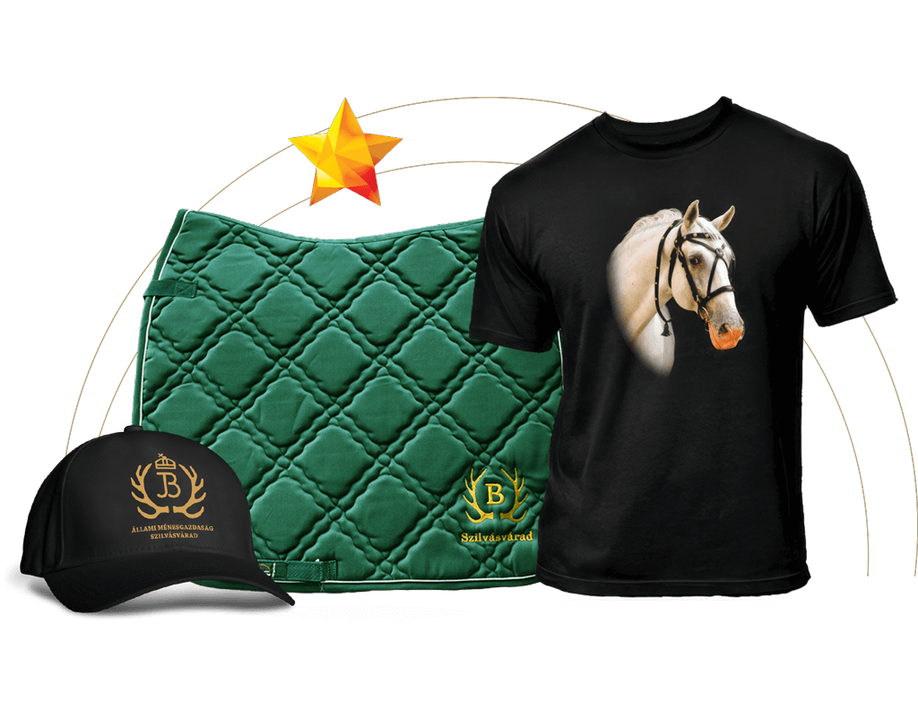 „A jó időre váró csomag” 