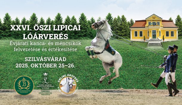 XXVI. Oszi Lipicai Loarveres