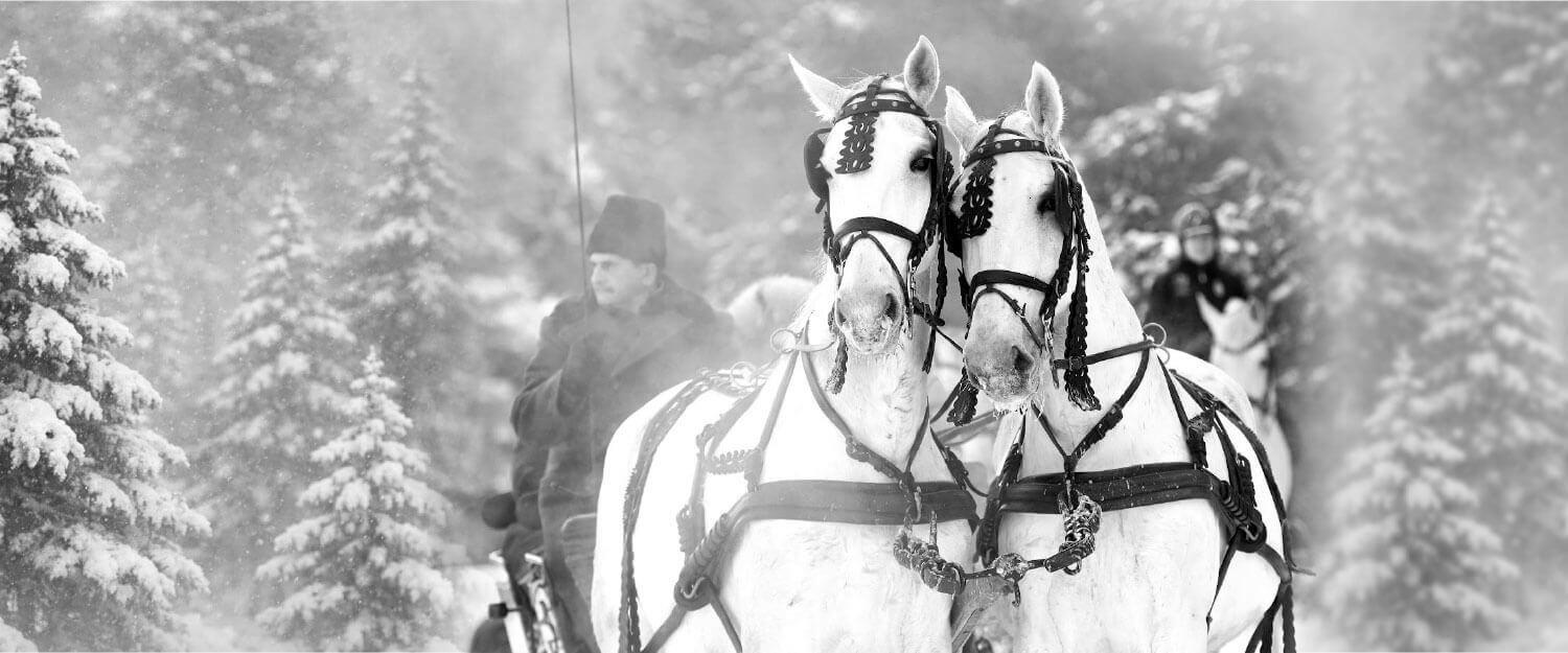 Anyakanca ménes a legelőn
