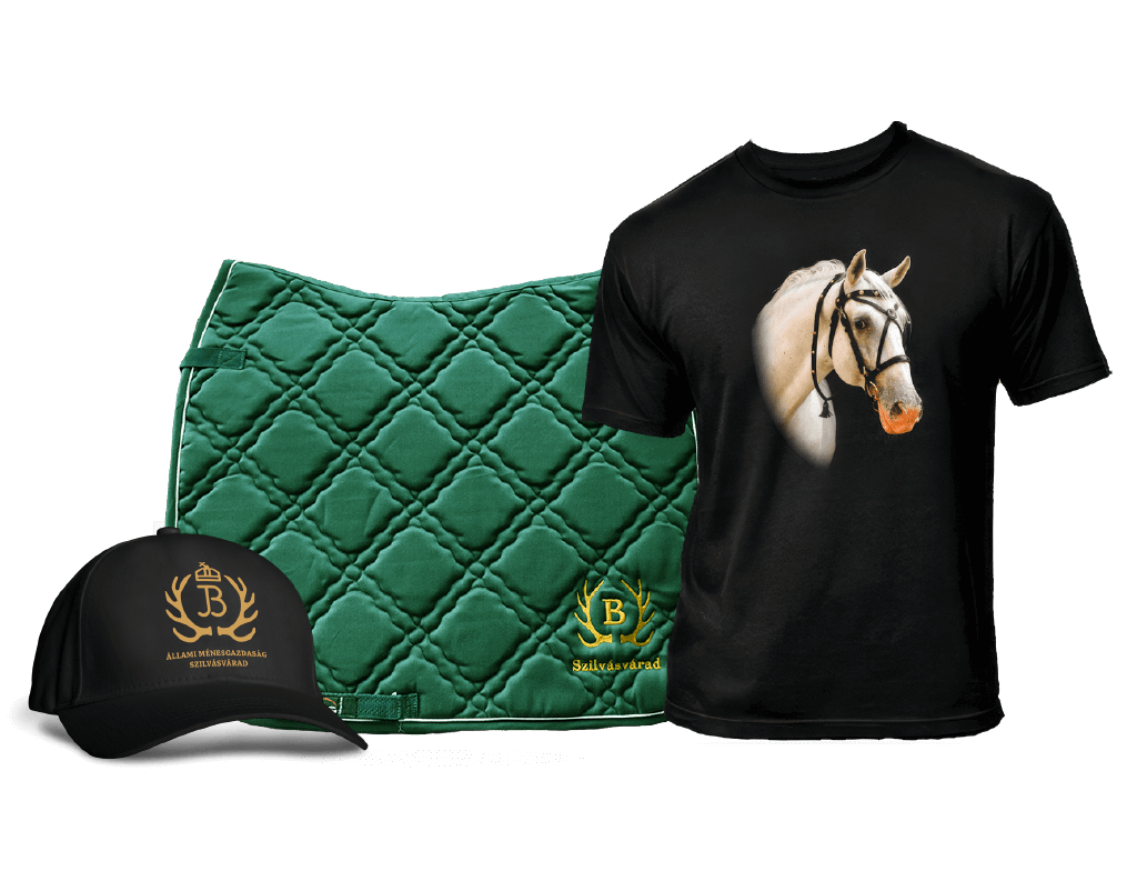 „A jó időre váró csomag” 