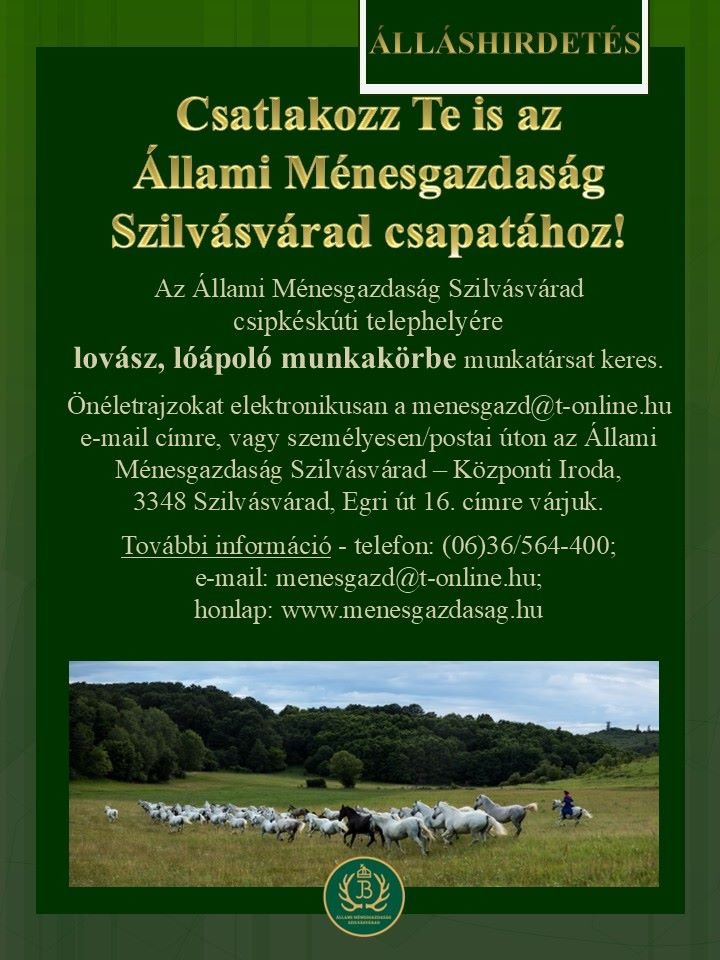Az Állami Ménesgazdaság Szilvásvárad csipkéskúti telephelyére lovász, lóápoló munkakörbe munkatár...