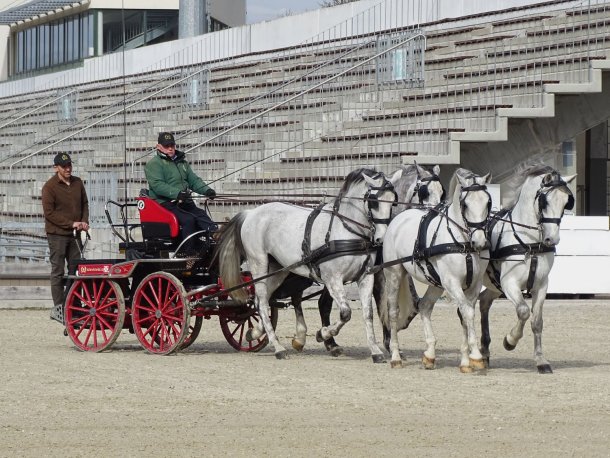 négyesfogathajtás oktatás