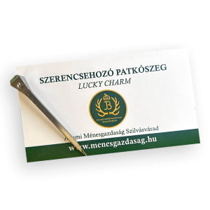 Állami Ménesgazdaság aranyérem 2024 FEI