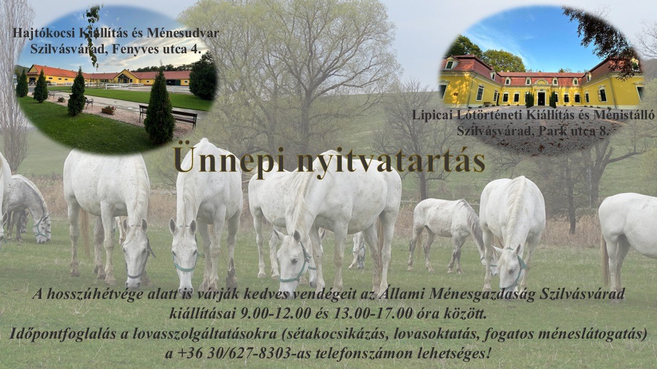 A hosszúhétvége alatt is várják kedves vendégeit az Állami Ménesgazdaság Szilvásvárad
KIÁLLÍTÁSA...