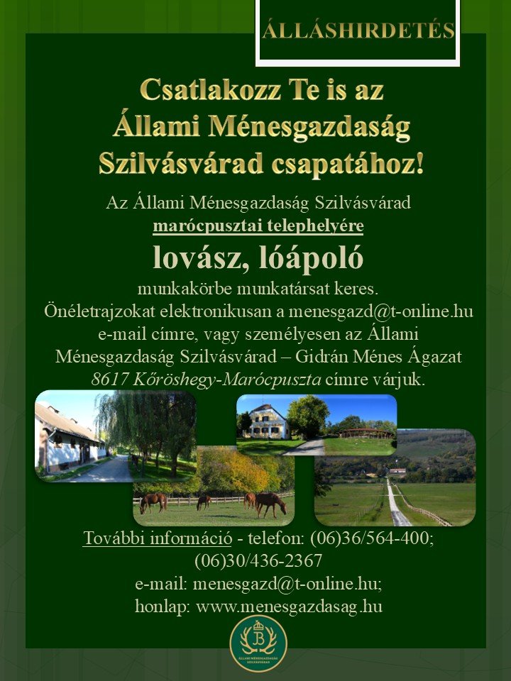 Az Állami Ménesgazdaság Szilvásvárad marócpusztai telephelyére LOVÁSZ, LÓÁPOLÓ MUNKAKÖRbe munkatá...