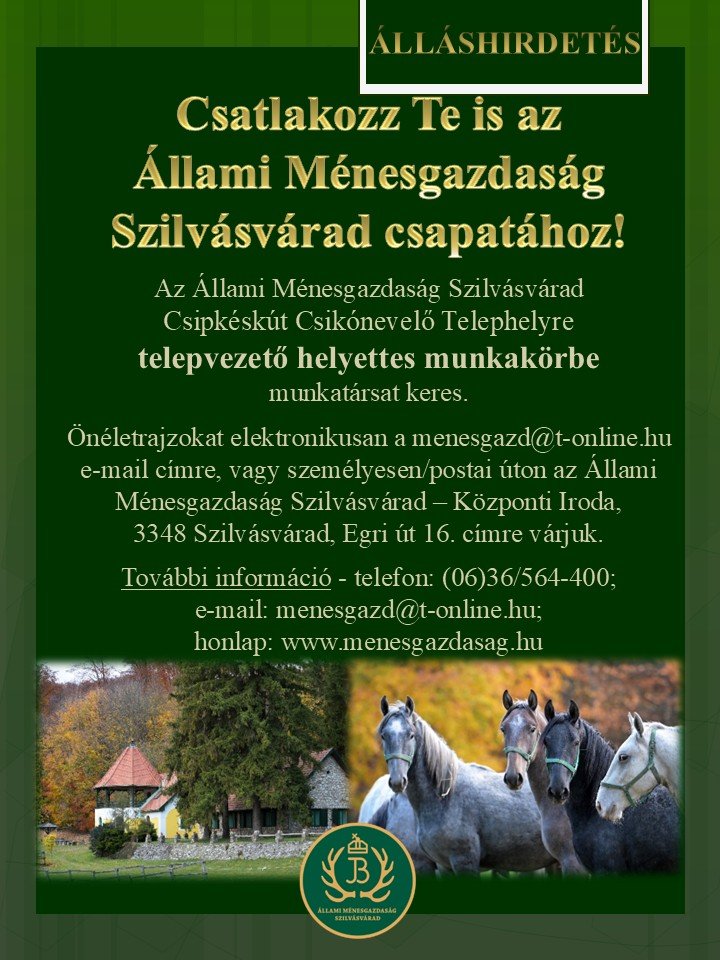 Csatlakozz Te is az Állami Ménesgazdaság Szilvásvárad csapatához!
Az Állami Ménesgazdaság Szilvá...