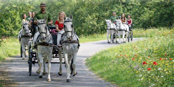 Nőnapi sétakocsikázás Szilvásváradon