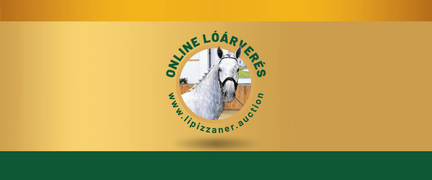 VI. LIPIZZAN ONLINE AUCTION