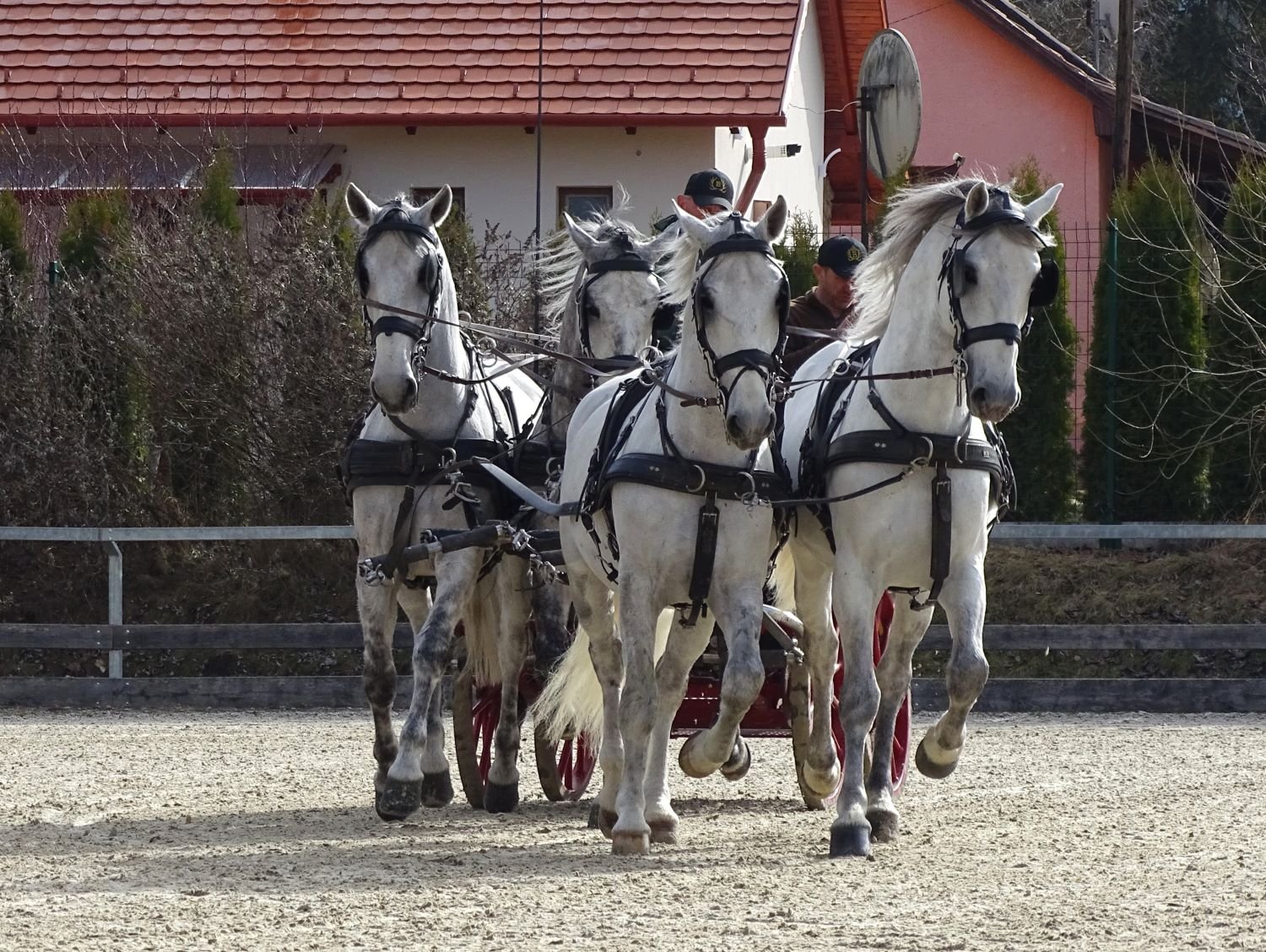 négyesfogathajtás oktatás