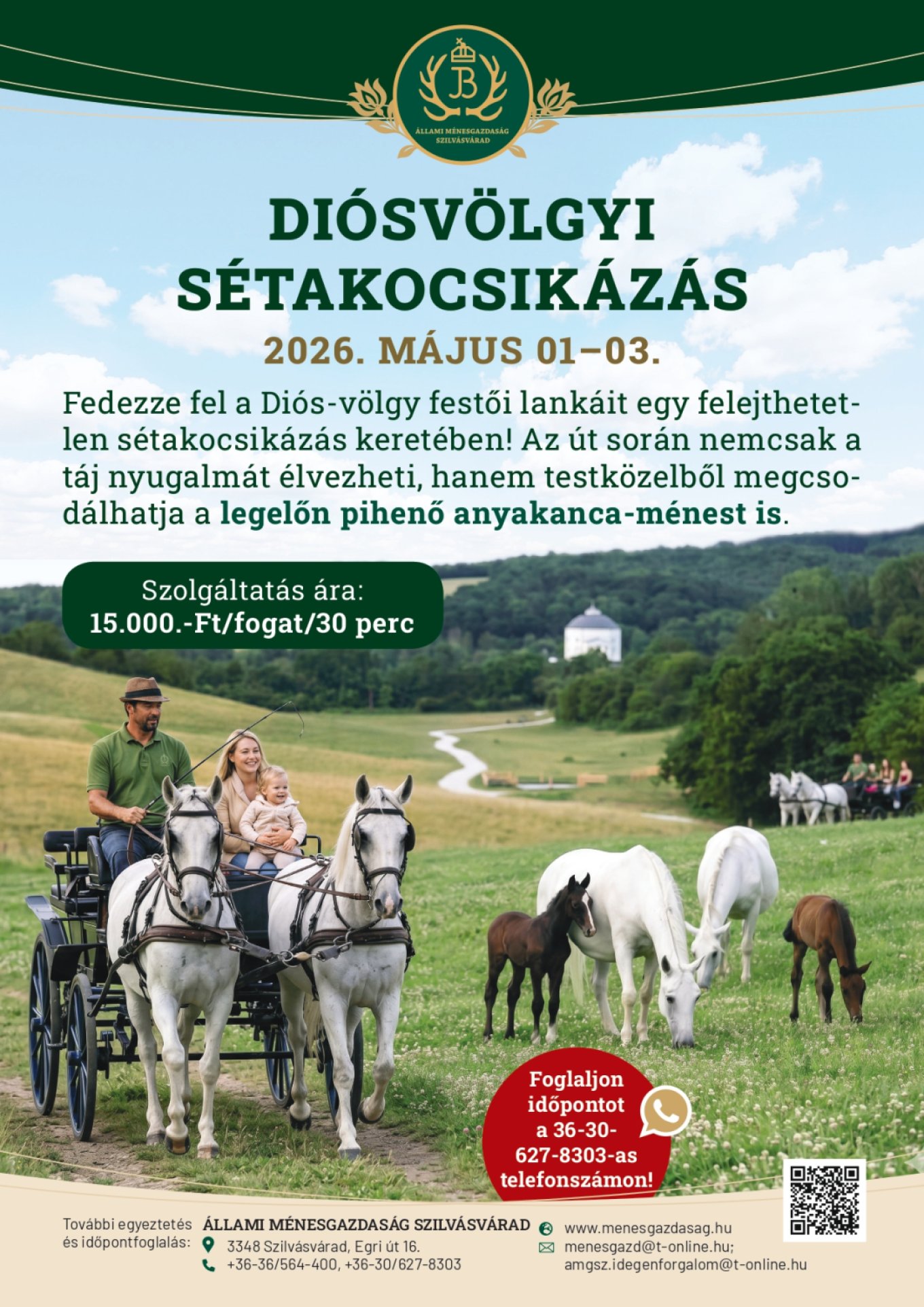 Dios-volgyi setakocsikazas